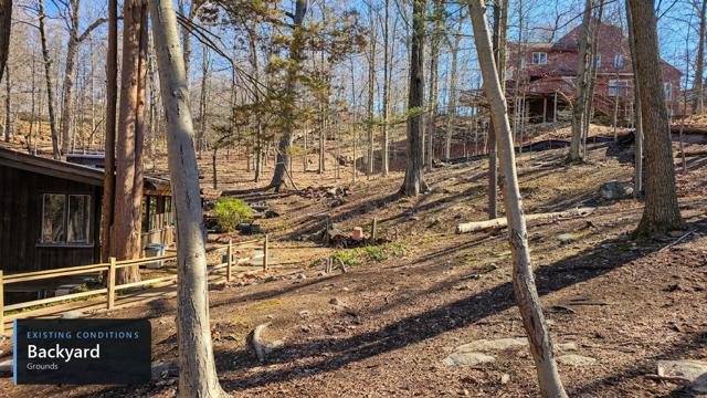 Existing home: Grounds backyard